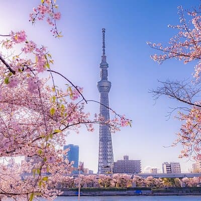 Tokyo Asakusa Half Day Walking Tour with Local Guide 3