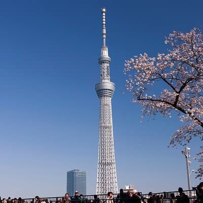 Tokyo Asakusa Half Day Walking Tour with Local Guide 5