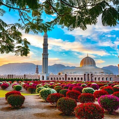 Muscat City Tour from Dubai with Free Visa & Omani Lunch