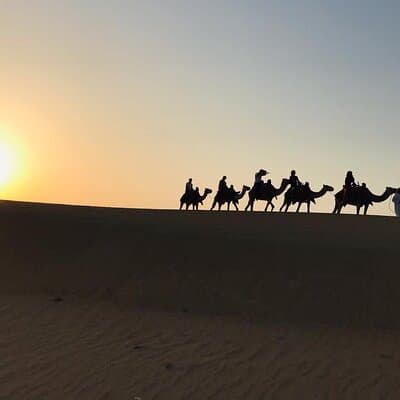 Desert Safari Tour with Camel Ride and BBQ Dinner in VIP Camp 3