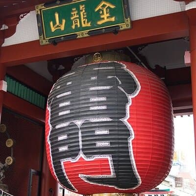 Private Taxi Tour in Tokyo with Government Licensed Guide 2