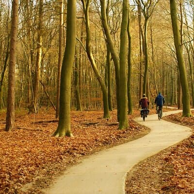 Kröller Müller Museum( Van Gogh Special) & Veluwe National Park 4