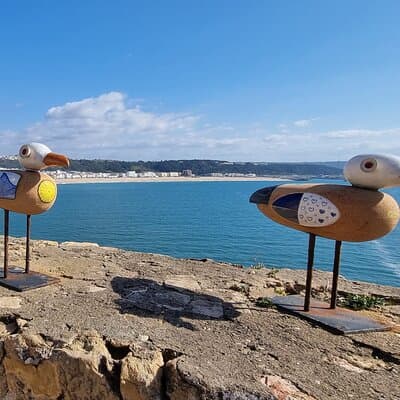 Tranquility to Thrills: Obidos,Alcobaca and Nazare Private Tour 4