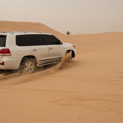 Dubai: Morning Desert Safari with 30 minutes Buggy 5