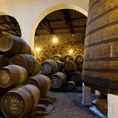 Porto Private Day Trip from Lisbon by Mercedes 4