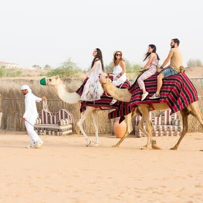 Evening Desert Safari Dubai with BBQ Dinner & Shows 4