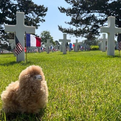 Normandy D-day landing beaches & Caen Memorial Private Tour