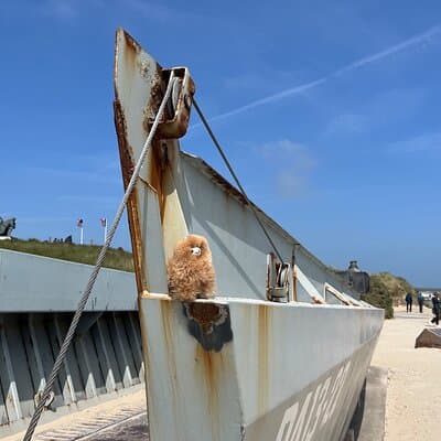 Normandy D-day landing beaches & Caen Memorial Private Tour 2