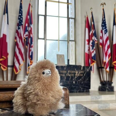 Normandy D-day landing beaches & Caen Memorial Private Tour 4