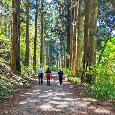 Private Hakone Tour - View of Mt. Fuji, Nature and Culture 4