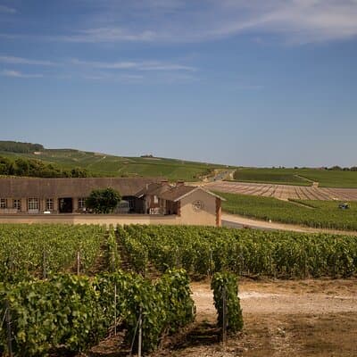 Champagne Tasting Tour Day Trip From Paris 3