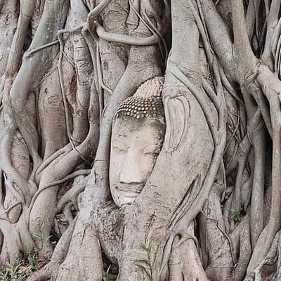 Private Tour to Ayutthaya, World Heritage Site with Boat Tour
