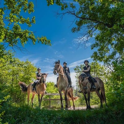 Day Trip to Fontainebleau : Horse Riding, Gastronomy and Castle