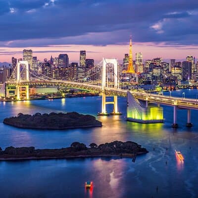 Tokyo City Night View Tour with Native Japanese Driver 3