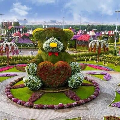 Dubai Miracle Garden with Private Transfers