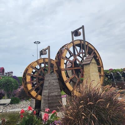 Dubai Miracle Garden with Private Transfers 2
