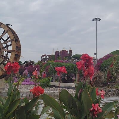 Dubai Miracle Garden with Private Transfers 4