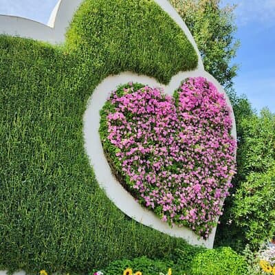 Dubai Miracle Garden with Private Transfers 5