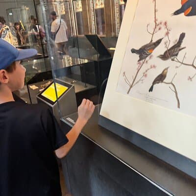 Kid-Friendly Natural History Museum & Dinosaurs Private Guided Tour in London 5
