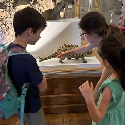 Kid-Friendly Natural History Museum & Dinosaurs Private Guided Tour in London