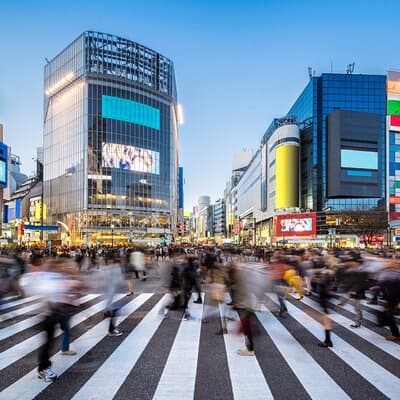 Luxury Haneda Airport Transfer including 2 hours Standby Time