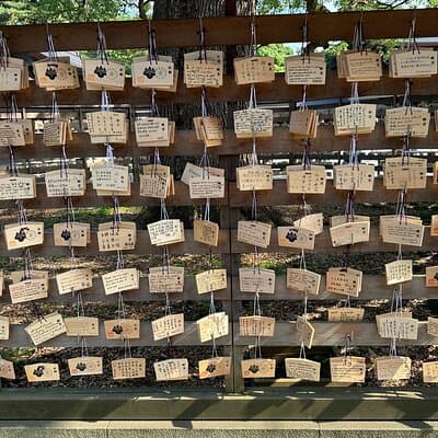 Sacred Morning Walk and Brunch Meiji Shrine 4