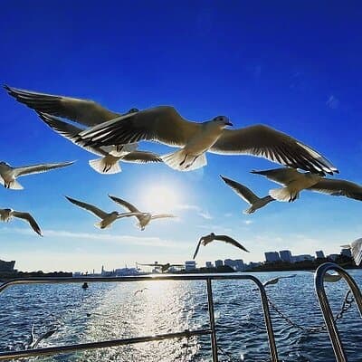 Tokyo Water Taxi Heritage Tour 5