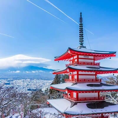 Mt.Fuji Tour: 3-Parks & The Healing Village in Fujiyoshida, Japan