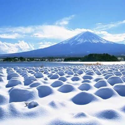 Mt.Fuji Tour: 3-Parks & The Healing Village in Fujiyoshida, Japan 4