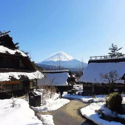 Mt.Fuji Tour: 3-Parks & The Healing Village in Fujiyoshida, Japan 5