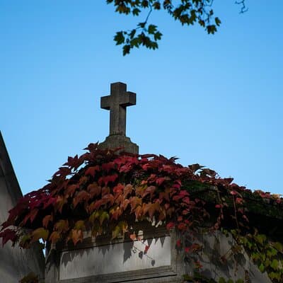 Père Lachaise Cemetery Tour: A Stroll Through Immortal History 4