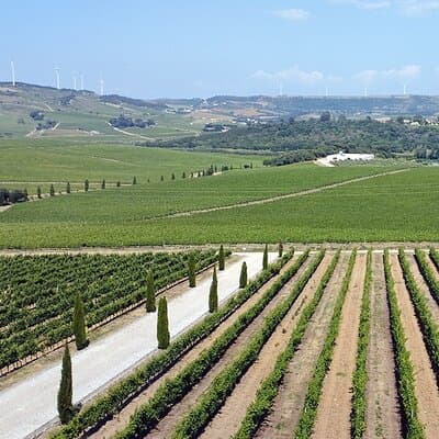 Private Full Day Tour to Mafra, Ericeira and Winery in Portugal 3