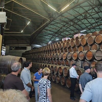 Olive Wine & Flavors - Tradition, Taste, the Spirit of Setúbal 5