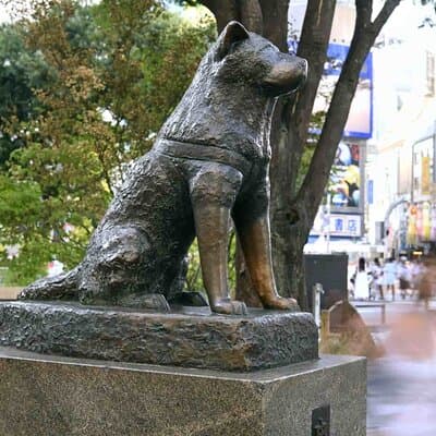 Tokyo Private SightSeeing Day Tour With Guide 2