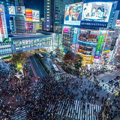 Tokyo Private SightSeeing Day Tour With Guide 4