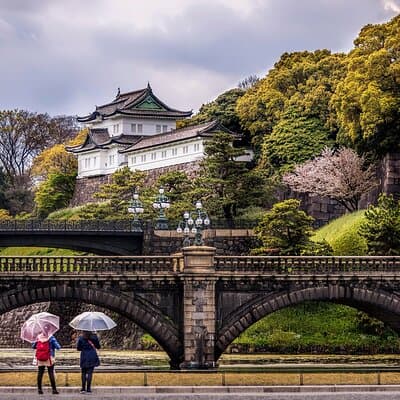 Tokyo Private SightSeeing Day Tour With Guide 5