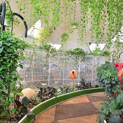 Dubai Miracle Garden and Butterfly Garden with Optional Transport 2