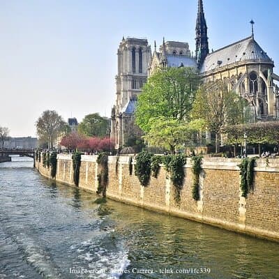 Île de la Cité Private 2h Tour with Latin Quarter & Seine River