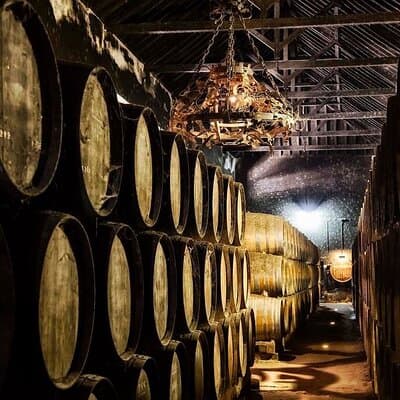 Olive Wine & Flavors - Tradition, Taste, the Spirit of Setúbal 4