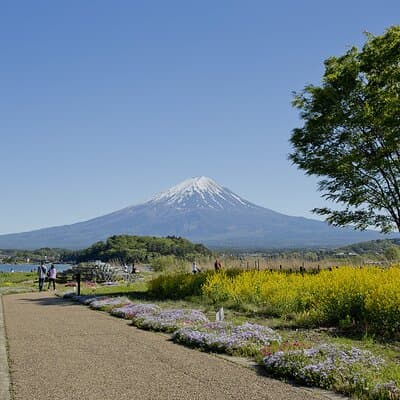 Mt.Fuji Private SightSeeing Day Tour With Guide (From Tokyo) 2