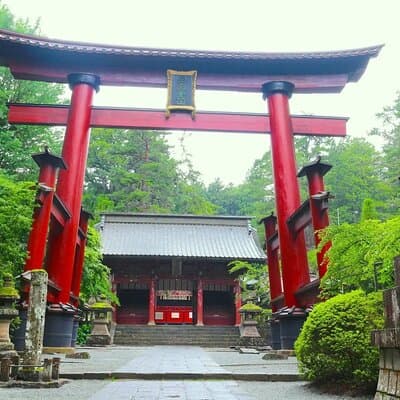 Mt.Fuji Private SightSeeing Day Tour With Guide (From Tokyo) 3