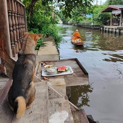 Private Mysterious Bangkok & Grand Palace, Tuk Tuk, Boat & Lunch 2