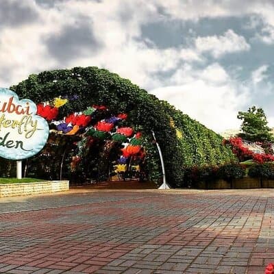 Dubai Miracle Garden and Butterfly Garden with Optional Transport 4