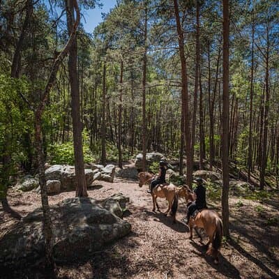 Day Trip to Fontainebleau : Horse Riding, Gastronomy and Castle 4