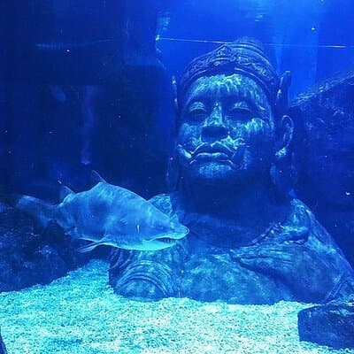 Sea Life Bangkok Ocean World Tickets 2