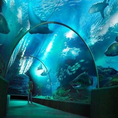 Sea Life Bangkok Ocean World Tickets 3