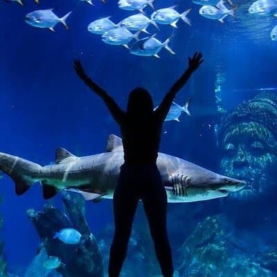 Sea Life Bangkok Ocean World Tickets 5