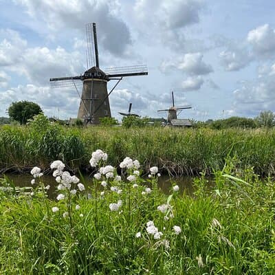 Kinderdijk Windmills, Delft City & Delft Blue Factory Visit