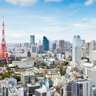 Tokyo Private Tour with Licensed Guide from Disney area