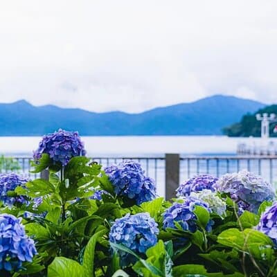 Mt. Fuji 5th Station, Hakone and Gotemba Outlets Day Tour 4